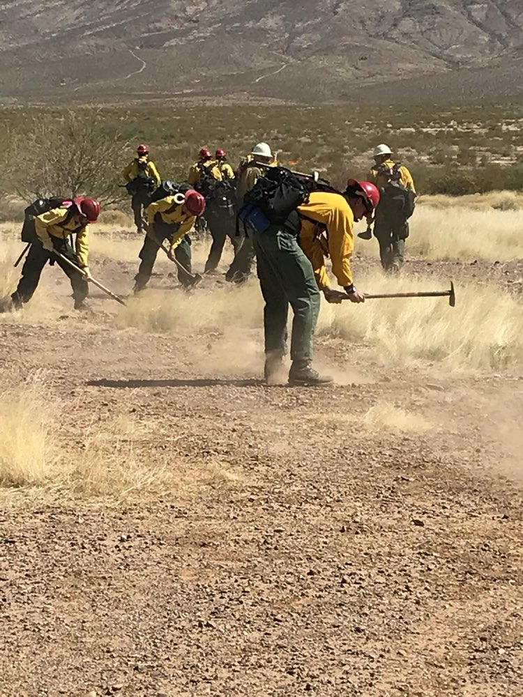 Wildland fire crew cutting line in flame resistant shirts
