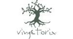 Gallery_Vingetorix_logo