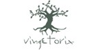Vigentronix_logo-gallery